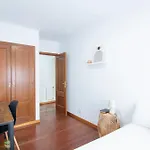 Gran Completo- Centro Y Conexiones *